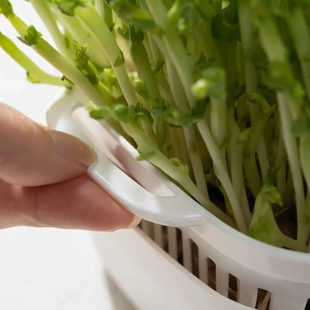 Soilless Cultivation Sprouts Growing Tray Bean Sprout Growing Horticultural Tool Sprouting Tray Sprout Planting Helper Household