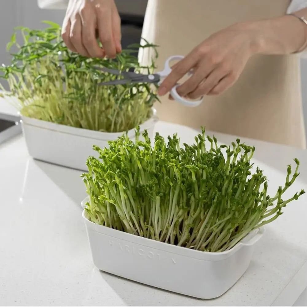 Soilless Cultivation Sprouts Growing Tray Bean Sprout Growing Horticultural Tool Sprouting Tray Sprout Planting Helper Household